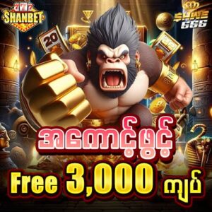 shwe666 - shanbet777