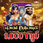 Shwe999