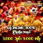 Shwe666 ကာစီနို